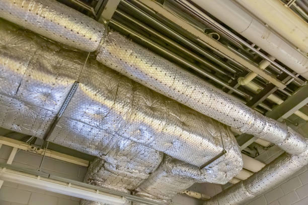 Best Commercial Air Duct Cleaning  in Federalsburg, MD